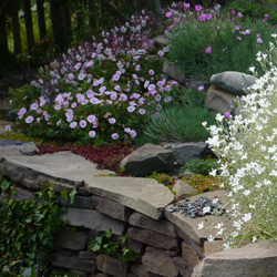 A garden corner