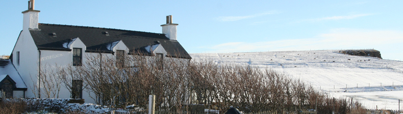 Mucklehus in the snow