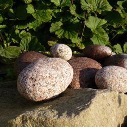 Garden stones