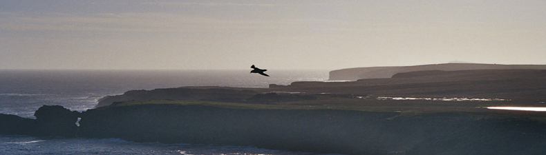 South Mainland coastline