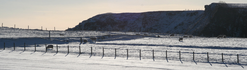 Cliffs in snow