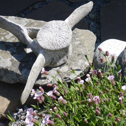 Whale bones in the garden